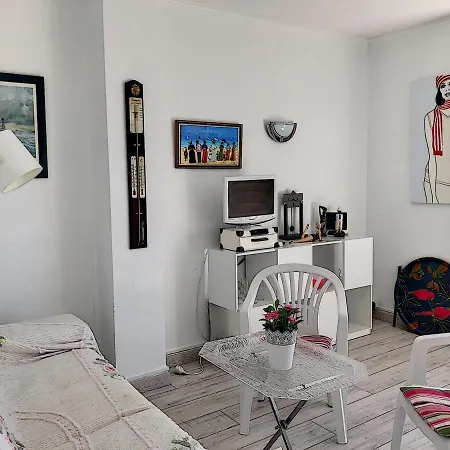 Apartment Avec Balcon, Jardin, Et Acces - Fr-1-361-492